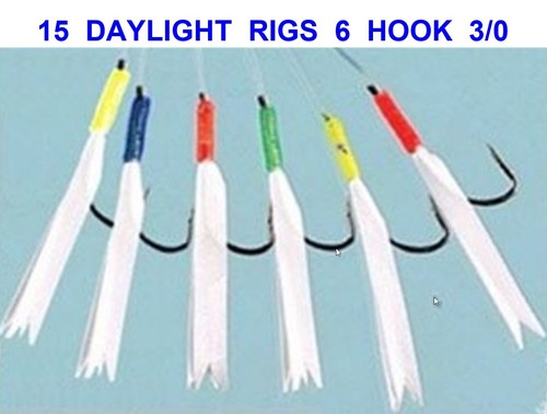 Daylight rigs hook 3 0 - 6,