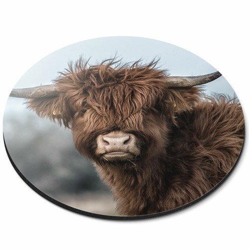 Round mouse mat fluffy brown - -,