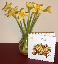 HAPPY BIRTHDAY Greeting Card