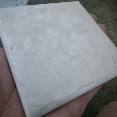 Ceramic tiles cots4 - cots4, mushroom
