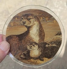 Stained glass Otter roundel kiln fired piece 10 cm Otters