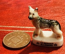 RARE GERMAN SHEPHERD ALSATIAN