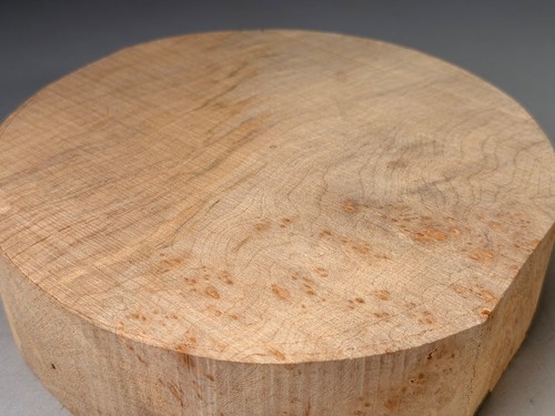 Spalted burr sycamore wood - burr,