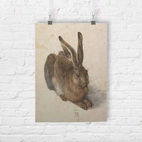 Albrecht durer young hare - a,