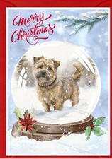 Norfolk Terrier Dog Christmas Card A6 (4"x 6") (Blank inside) by Starprint