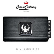 1000 WATT MINI BASS AMP