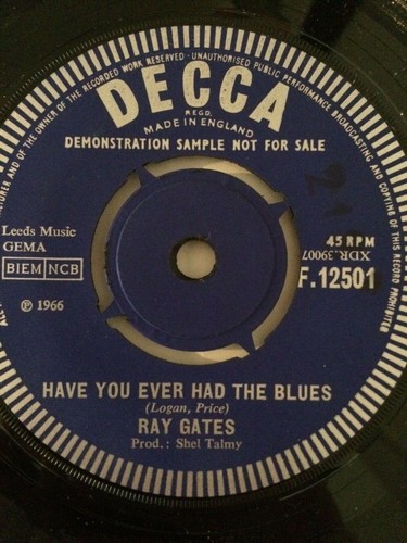 Ray gates demo have - ray, ever