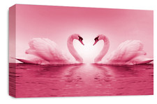 Framed Love Swans Wall Art