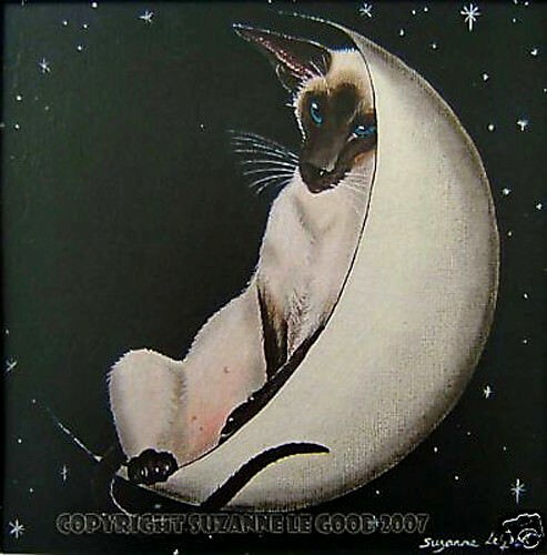Siamese cat moon - siamese, mounted