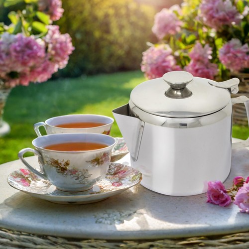 Stainless steel 24oz tea pot - tea,