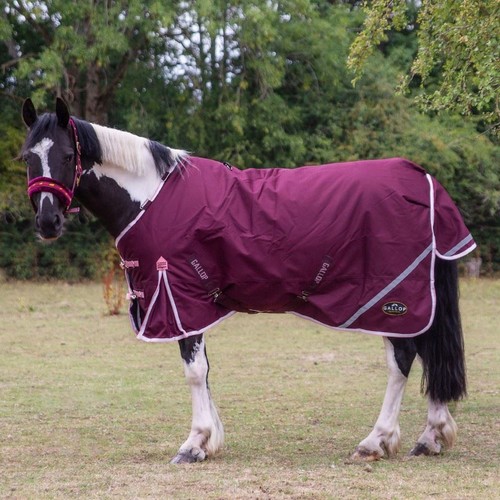 Gallop equestrian trojan xtra - trojan,