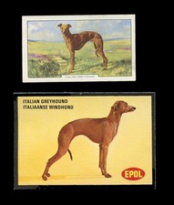 ITALIAN GREYHOUND TOY DOG Cigarette & Trade Cards x 2