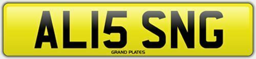 Alison number plate al15 sng - plate,