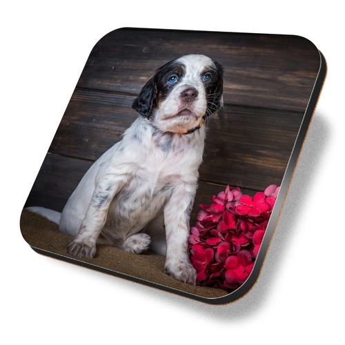Square mdf coaster english - mdf,