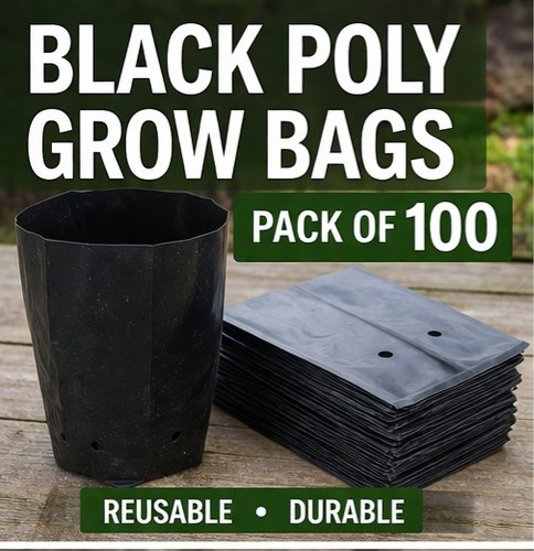 Hadopots black poly - black,