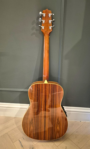Takamine series eg501s - g,