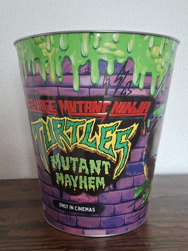 Teenage mutant ninja turtle - teenage,