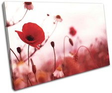 Poppies Flowers Floral SINGLE