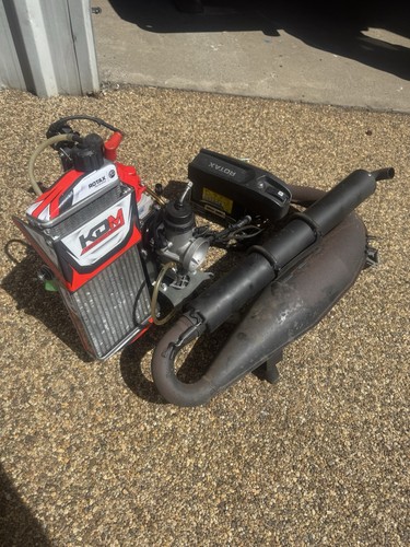 Kdm junior max rotax - junior,