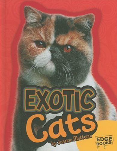 Exotic cats - exotic, (edge