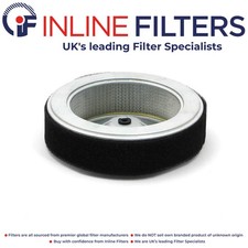 Air Filter for Timberwolf