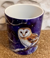 Beautiful Owl Design Ceramic