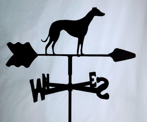 Greyhound garden style - garden,