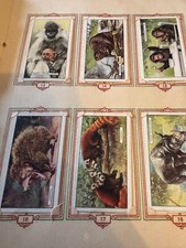 Park Drive cigarette cards -