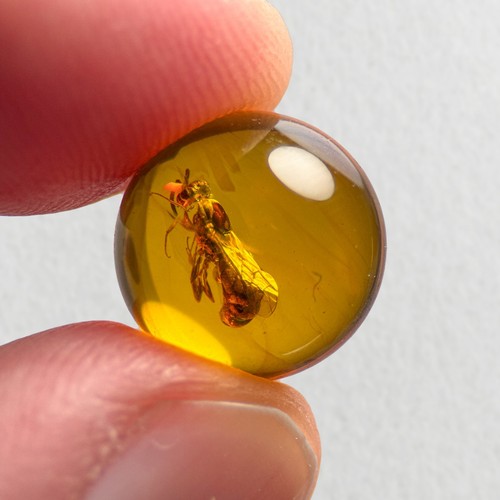 Wasp sphere 11mm bead - 11mm, burmese