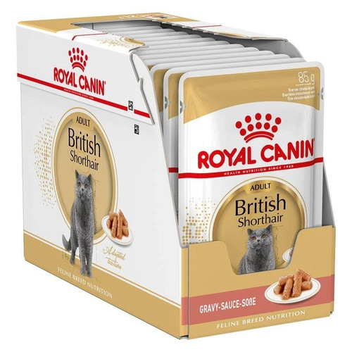Royal canin british shorthair - canin,