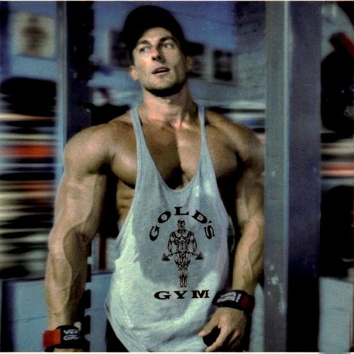 Golds gym vest mens muscle - vest,