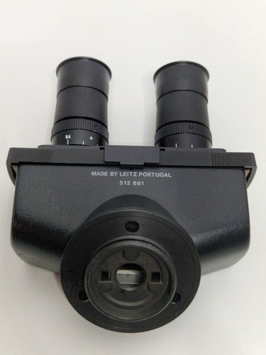 Leitz binocular microscope