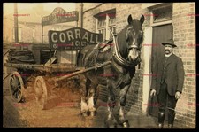 CORRALL Coal Merchants Wimbledon RPPC  Postcard Shire Horse 23 Yrs RANCE Driver
