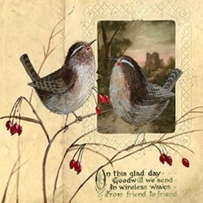 Alex Clark Sparkle Christmas card ~ Vintage Wrens ~ Glittered ~ SINGLE CARD