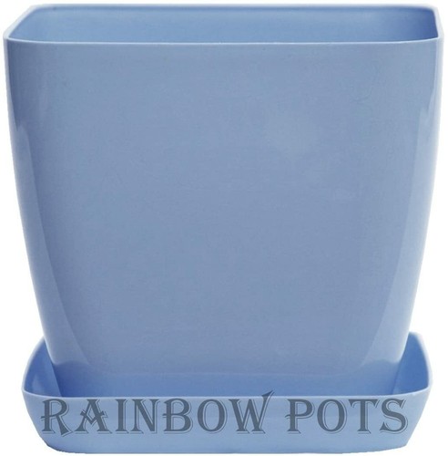 Plastic flower plant - plastic,