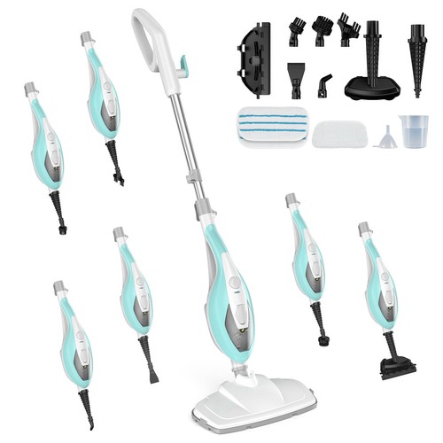 Multifunctional steam - 10-in-1,