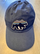 Patagonia Hat Mens Blue One