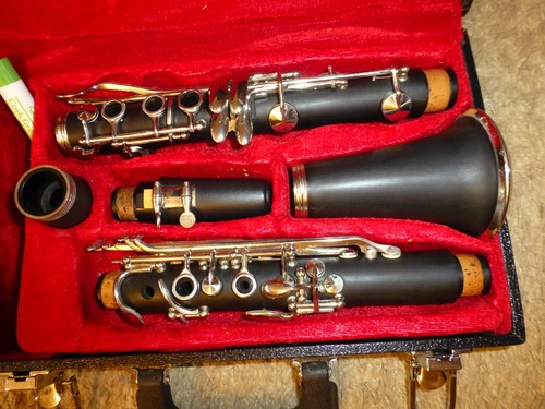 Clarinet with case - clarinet,
