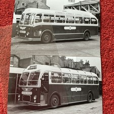 Royal Blue Bus Photos