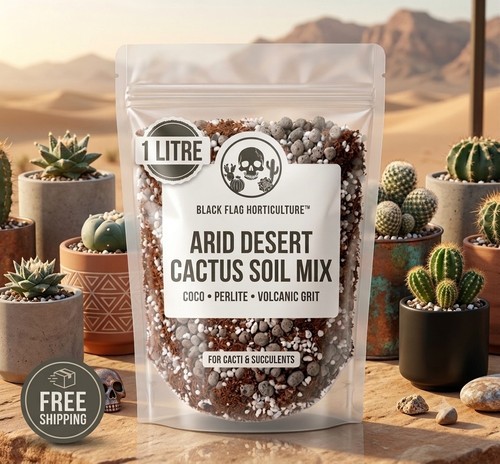 Premium arid desert cactus - arid,