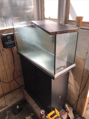100 litre fish tank - 100,