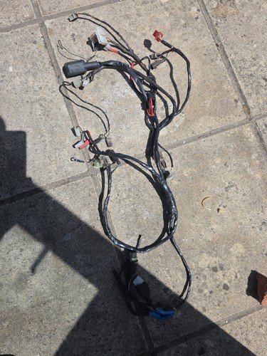 Gilera dna wiring loom - dna,