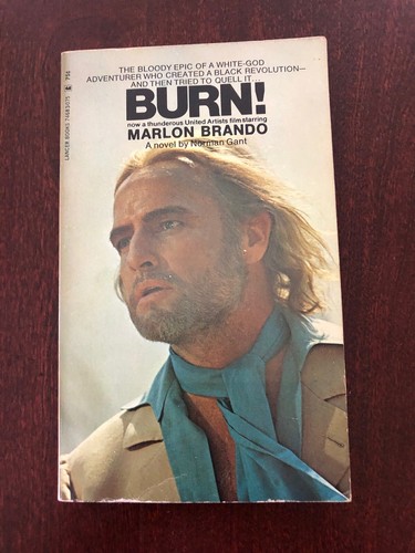 Burn novel 1970 vintage - burn!,