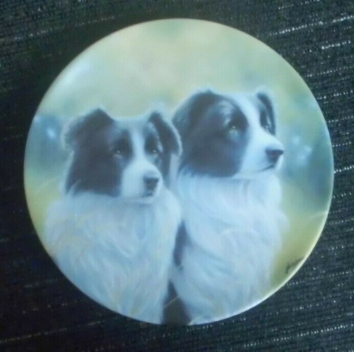 Border collie dog plate - border, and