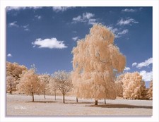 Converted Infrared IR Full