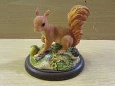 Beautiful BFA Border Fine Arts Studio A21240 "RED SQUIRREL" - Mammals Series