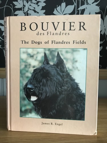 Bouvier des flandres the dogs - bouvier,