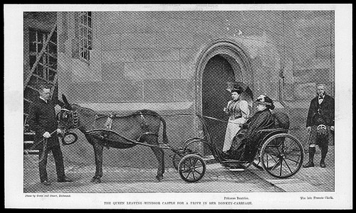 1895 antique print berkshire - antique,