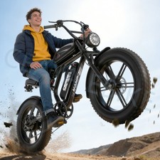 20" Electric Bike 48V 15AH Fat