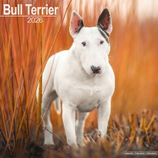 Bull Terrier 2026 Calendar |
